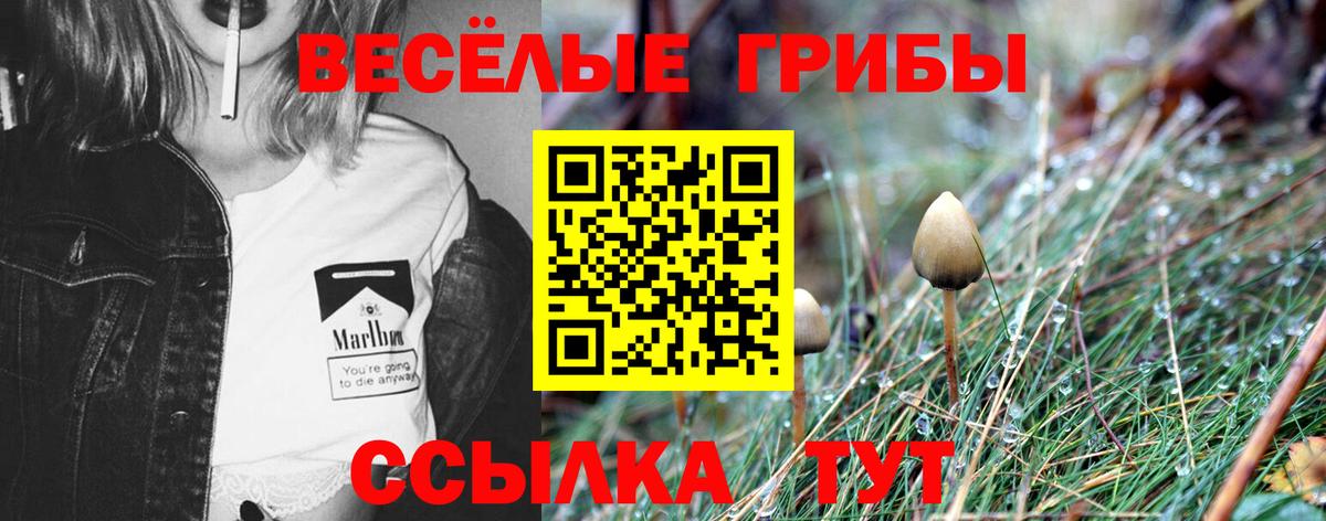 Галлюциногенные грибы Cubensis Петрозаводск