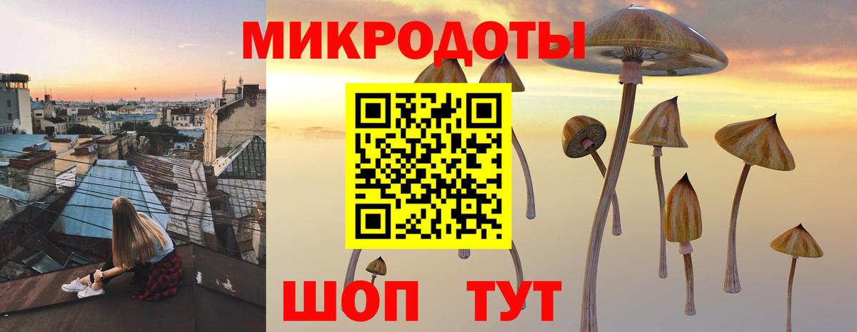 Петрозаводск  Галлюциногенные грибы Psilocybine cubensis  Вход с VPN  Галлюциногенные грибы MAGIC MUSHROOMS 